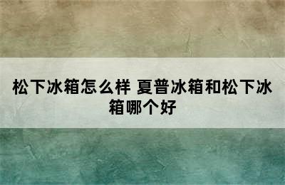 松下冰箱怎么样 夏普冰箱和松下冰箱哪个好